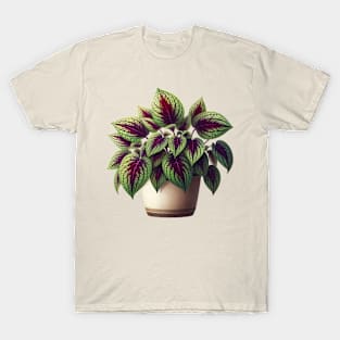 Fishnet Stockings Coleus Plant T-Shirt